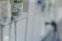 湖州司法亲子鉴定准不准确